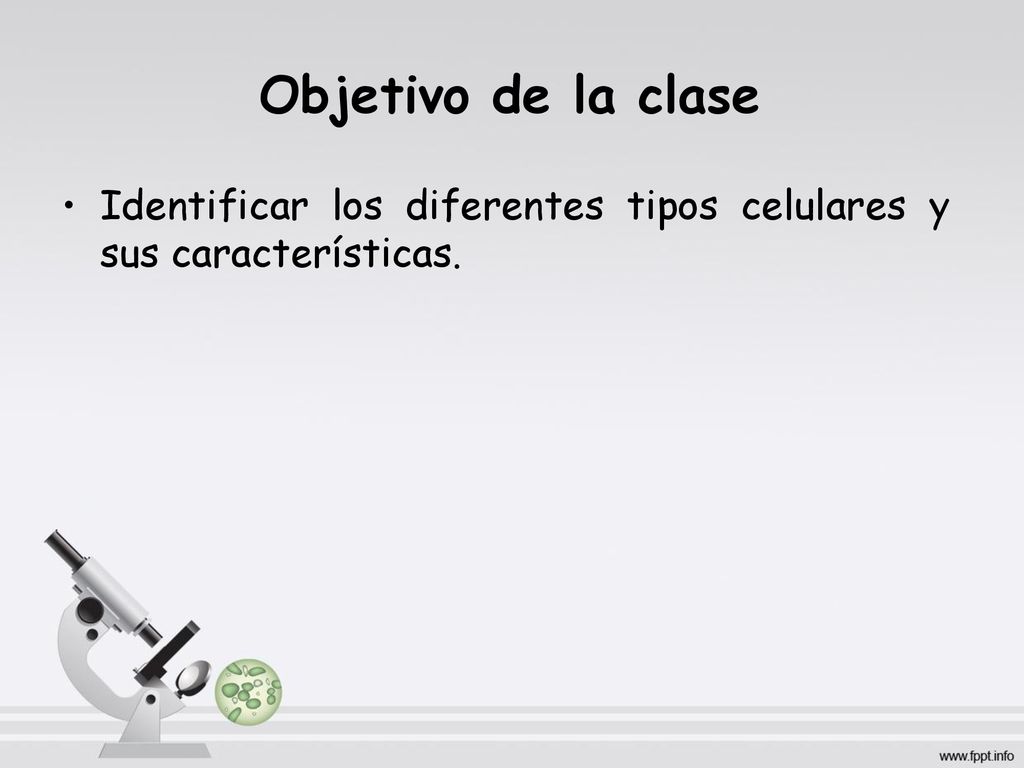 Objetivo de la clase Identificar los diferentes tipos celulares y sus características.