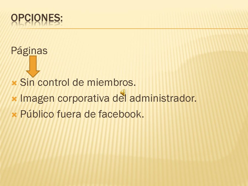 Opciones: Páginas. Sin control de miembros. Imagen corporativa del administrador.