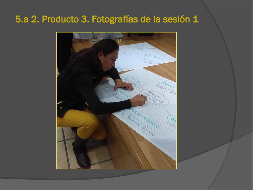 5.a 2. Producto 3. Fotografías de la sesión 1