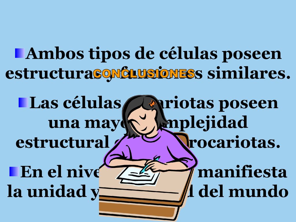 Ambos tipos de células poseen estructuras y funciones similares.