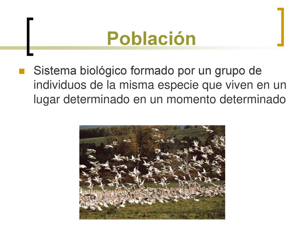 Población Sistema biológico formado por un grupo de individuos de la misma especie que viven en un lugar determinado en un momento determinado.