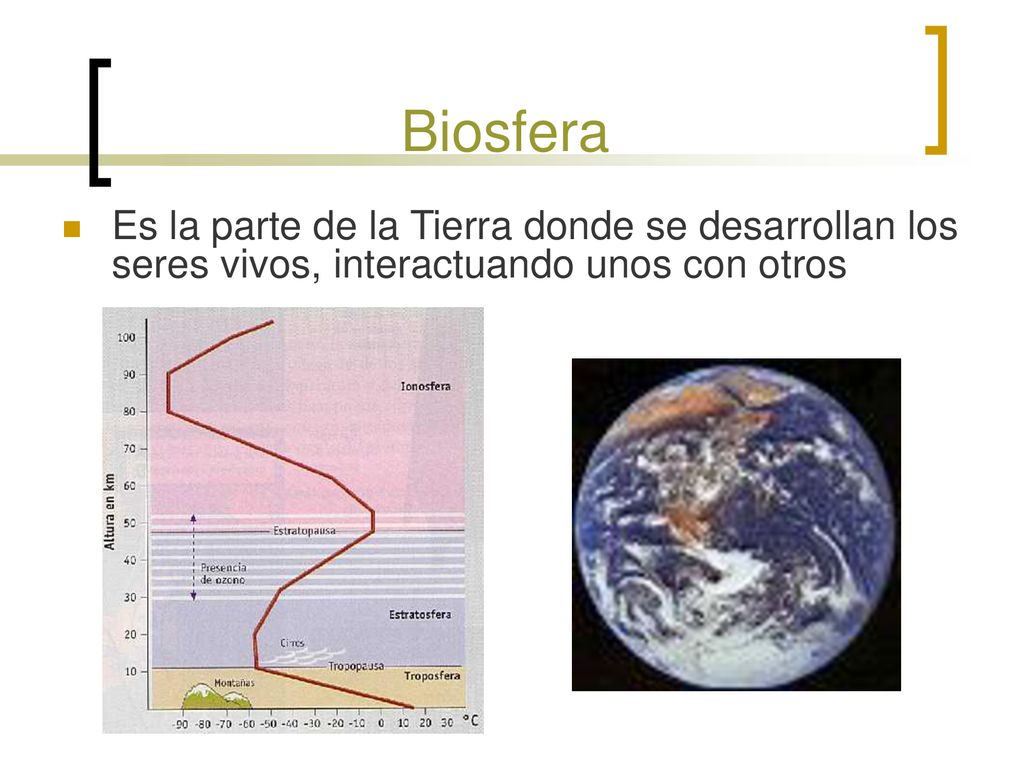 Biosfera Es la parte de la Tierra donde se desarrollan los seres vivos, interactuando unos con otros.