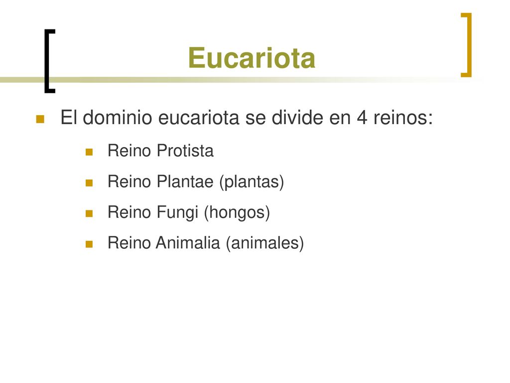 Eucariota El dominio eucariota se divide en 4 reinos: Reino Protista