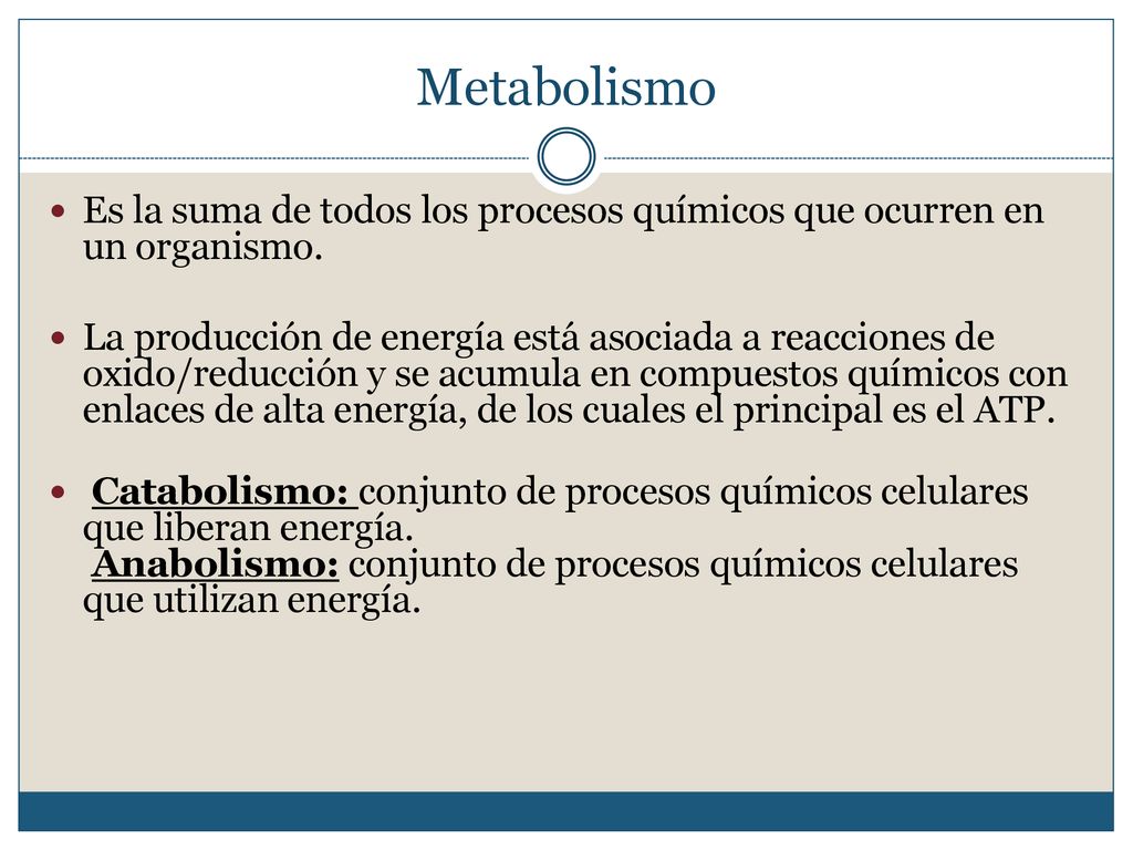 Metabolismo Es la suma de todos los procesos químicos que ocurren en un organismo.