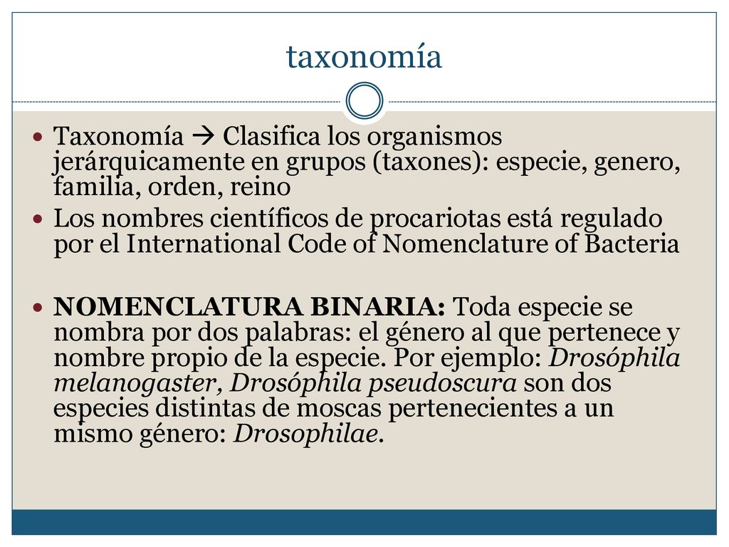 taxonomía Taxonomía  Clasifica los organismos jerárquicamente en grupos (taxones): especie, genero, familia, orden, reino.