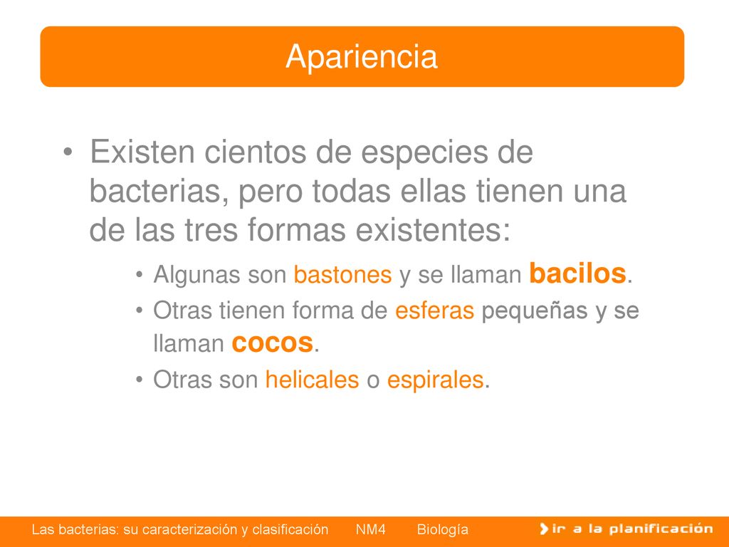 Apariencia Existen cientos de especies de bacterias, pero todas ellas tienen una de las tres formas existentes:
