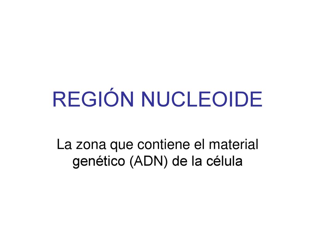 La zona que contiene el material genético (ADN) de la célula