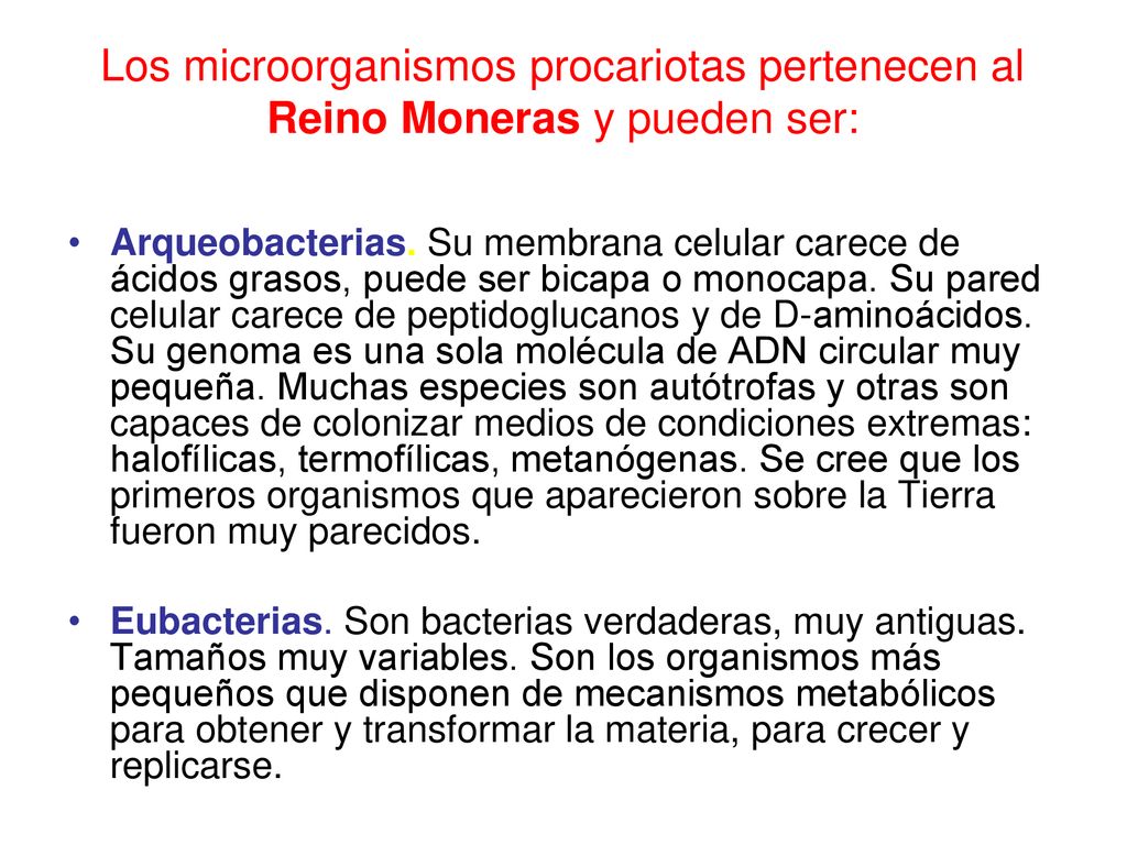 Los microorganismos procariotas pertenecen al Reino Moneras y pueden ser: