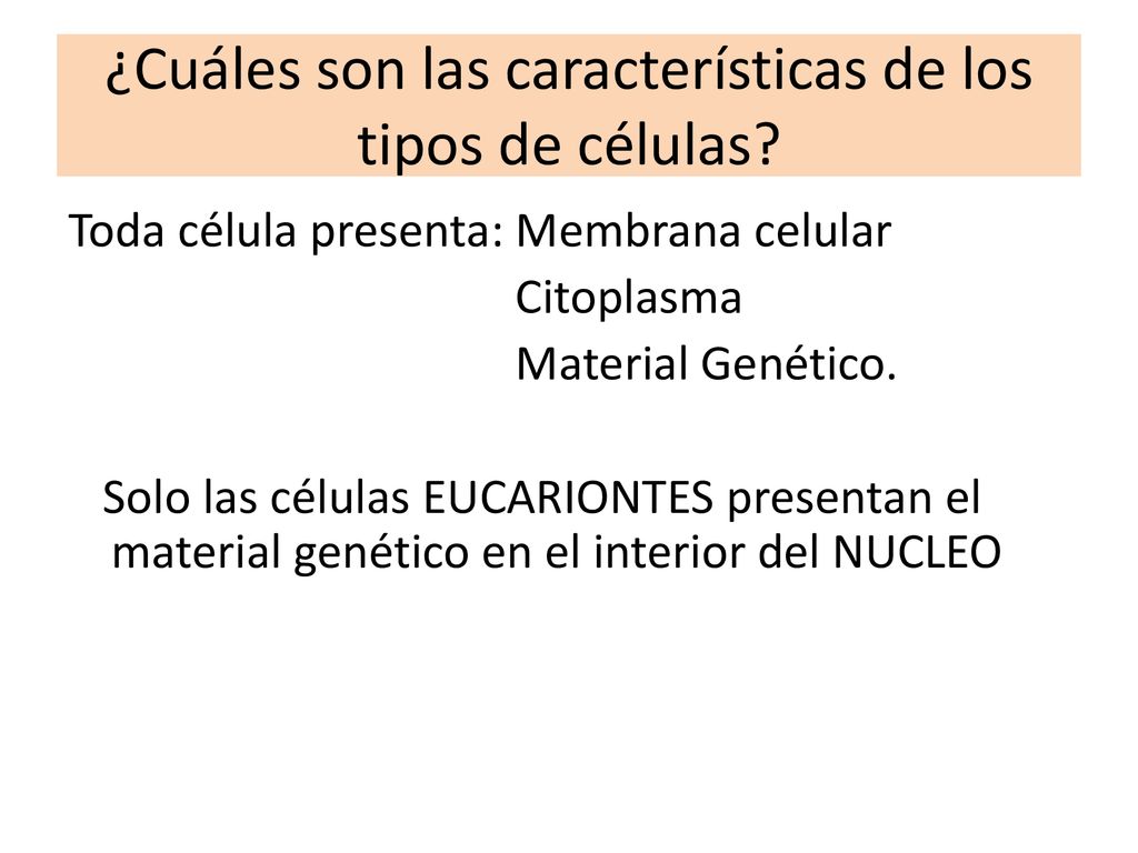 ¿Cuáles son las características de los tipos de células
