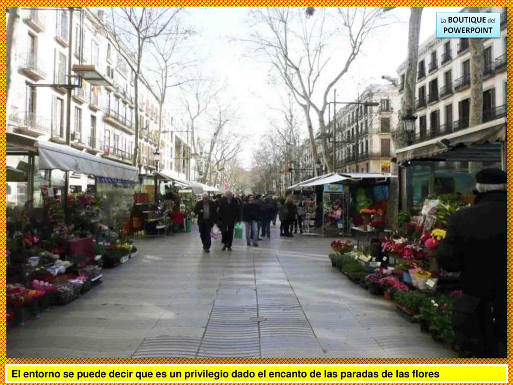 El entorno se puede decir que es un privilegio dado el encanto de las paradas de las flores