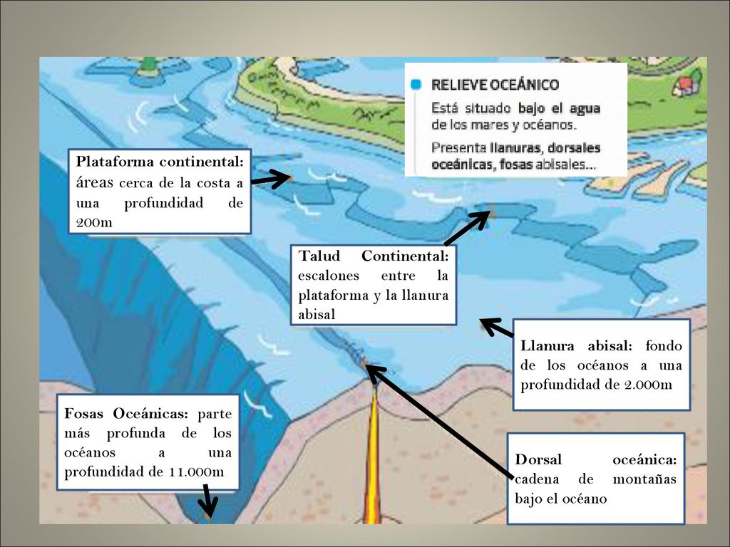Plataforma continental: áreas cerca de la costa a una profundidad de 200m
