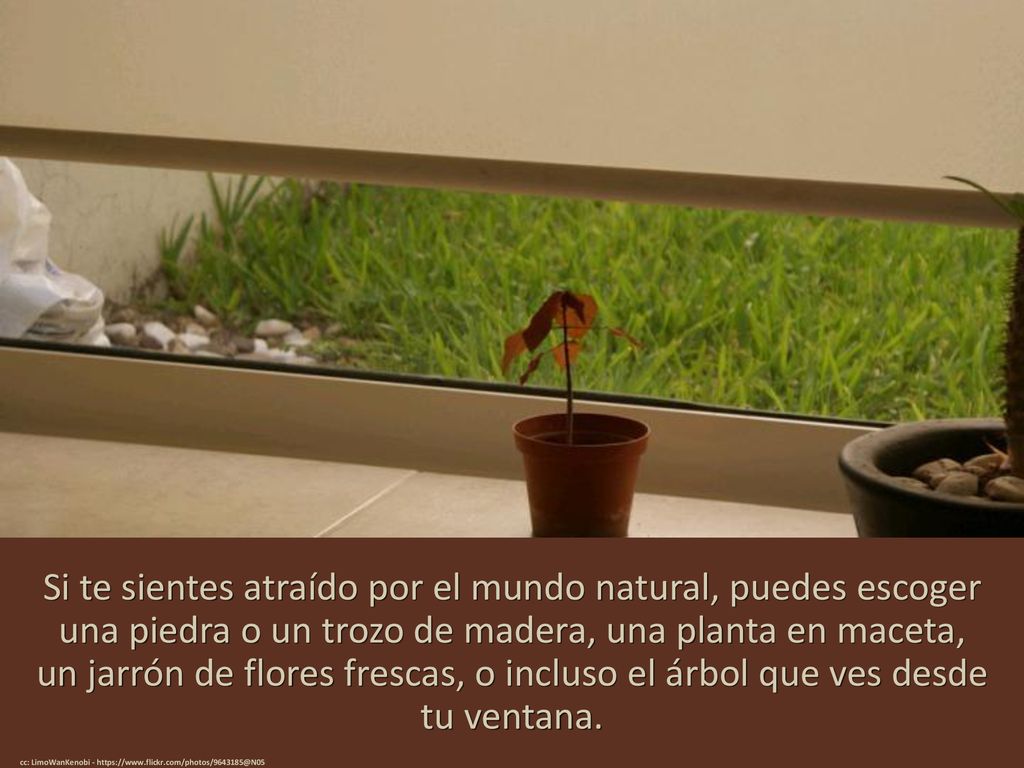 Si te sientes atraído por el mundo natural, puedes escoger una piedra o un trozo de madera, una planta en maceta, un jarrón de flores frescas, o incluso el árbol que ves desde tu ventana.