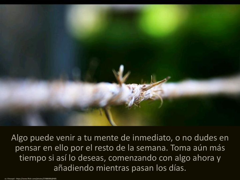 Algo puede venir a tu mente de inmediato, o no dudes en pensar en ello por el resto de la semana. Toma aún más tiempo si así lo deseas, comenzando con algo ahora y añadiendo mientras pasan los días.