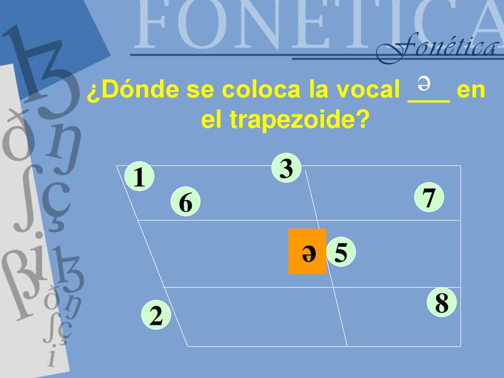 ¿Dónde se coloca la vocal ___ en el trapezoide