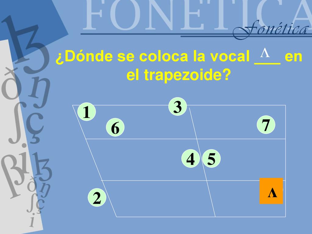¿Dónde se coloca la vocal ___ en el trapezoide