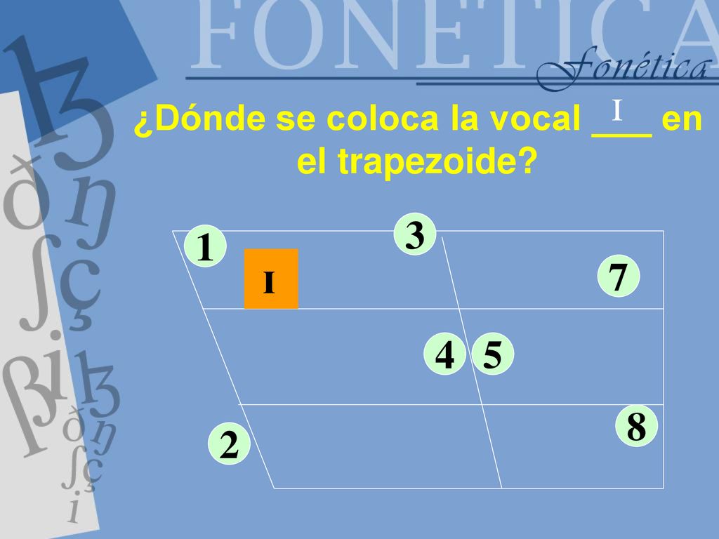 ¿Dónde se coloca la vocal ___ en el trapezoide