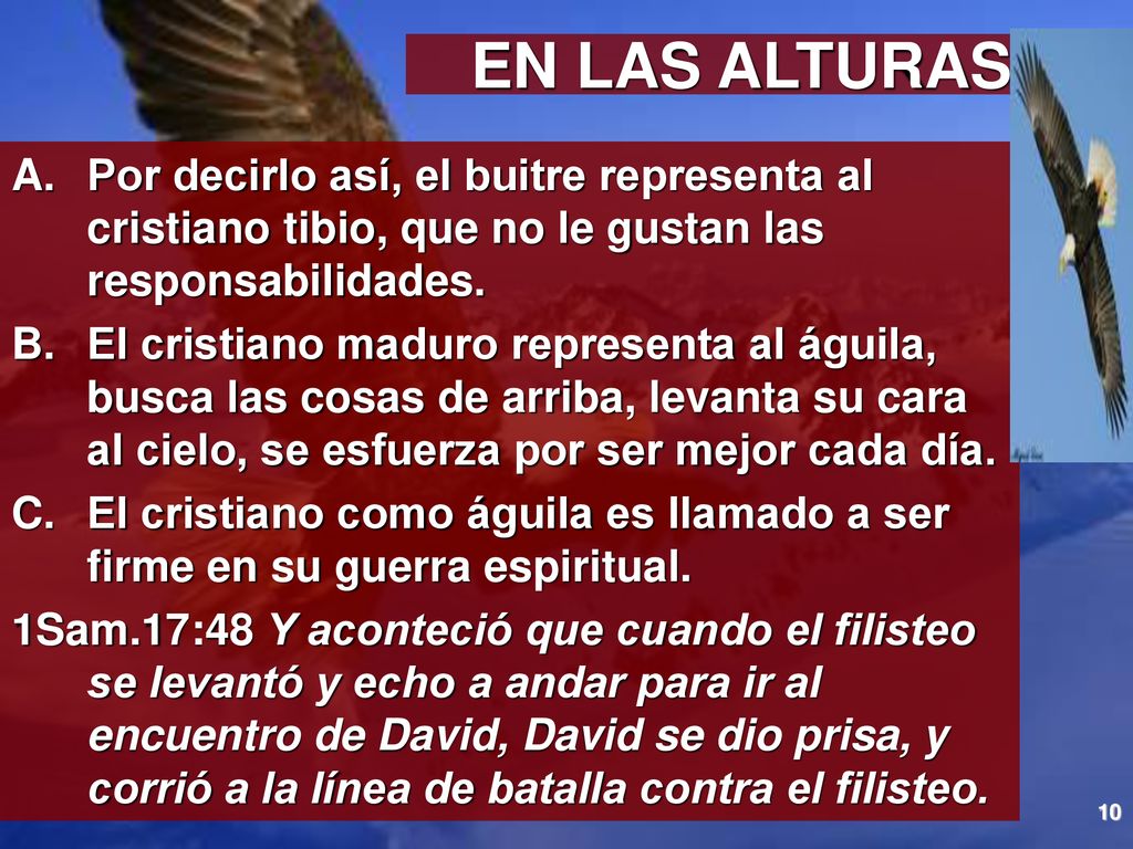 EN LAS ALTURAS Por decirlo así, el buitre representa al cristiano tibio, que no le gustan las responsabilidades.