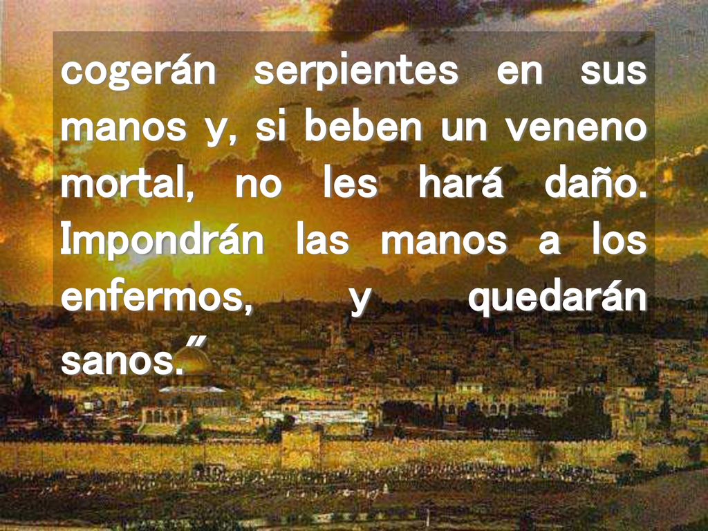 cogerán serpientes en sus manos y, si beben un veneno mortal, no les hará daño.
