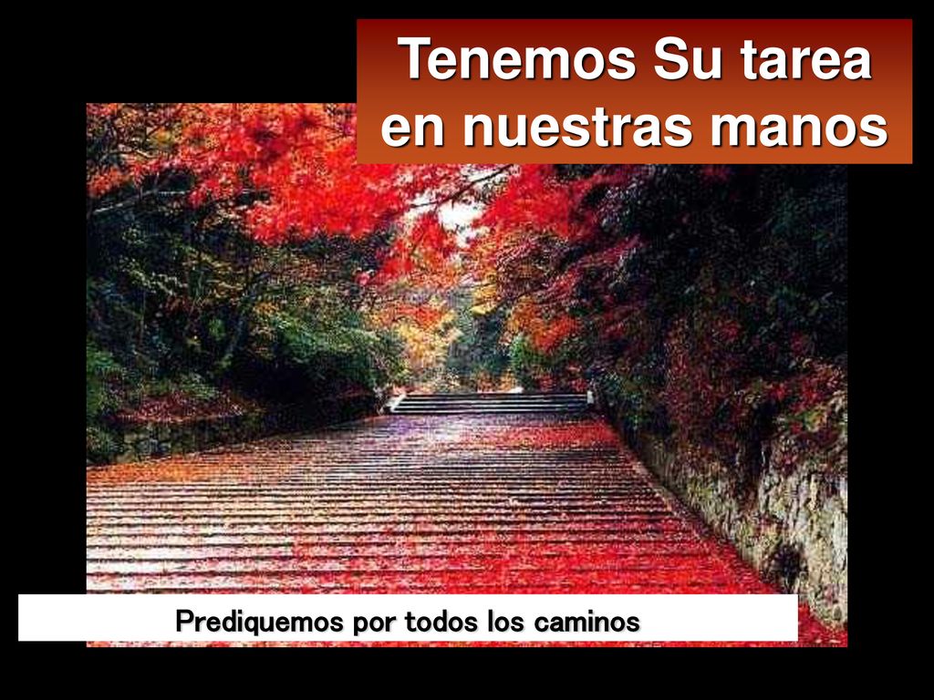 Tenemos Su tarea en nuestras manos Prediquemos por todos los caminos