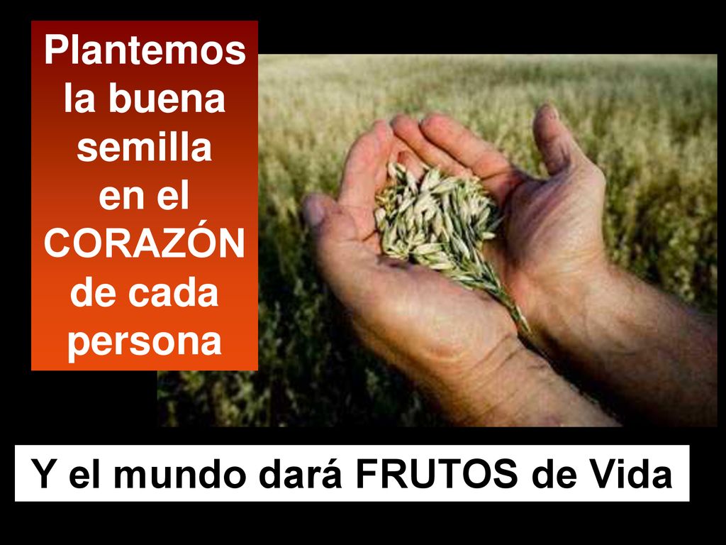 Plantemos la buena semilla en el CORAZÓN de cada persona