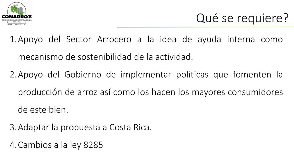 Qué se requiere Apoyo del Sector Arrocero a la idea de ayuda interna como mecanismo de sostenibilidad de la actividad.