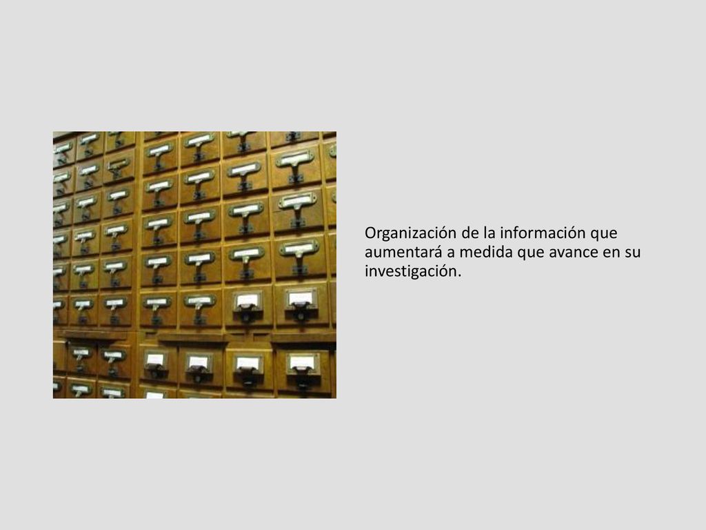 Organización de la información que aumentará a medida que avance en su investigación.