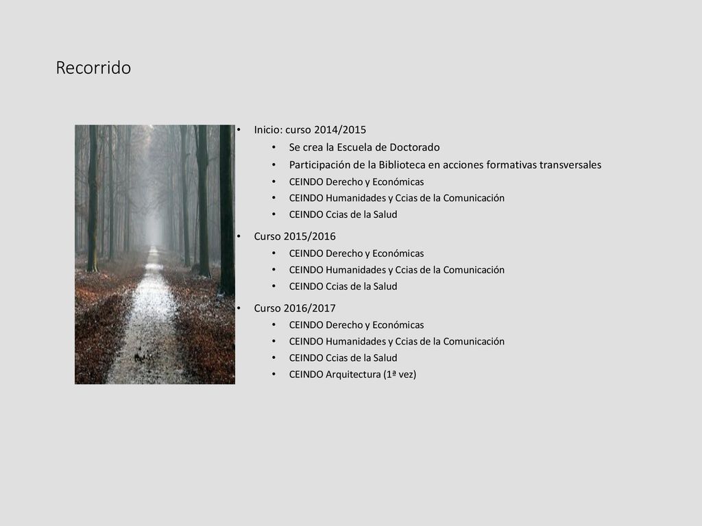 Recorrido Inicio: curso 2014/2015 Se crea la Escuela de Doctorado