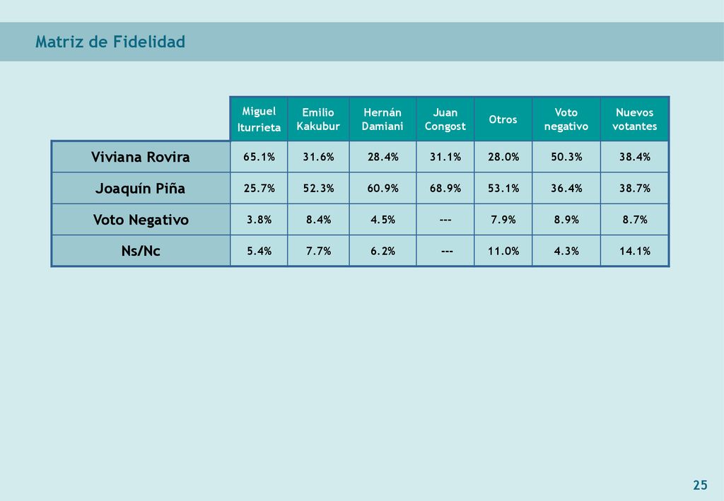 Matriz de Fidelidad Viviana Rovira Joaquín Piña Voto Negativo Ns/Nc