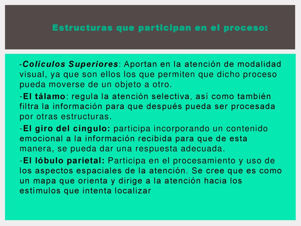 Estructuras que participan en el proceso: -Colículos Superiores: Aportan en la atención de modalidad visual, ya que son ellos los que permiten que dicho proceso pueda moverse de un objeto a otro.