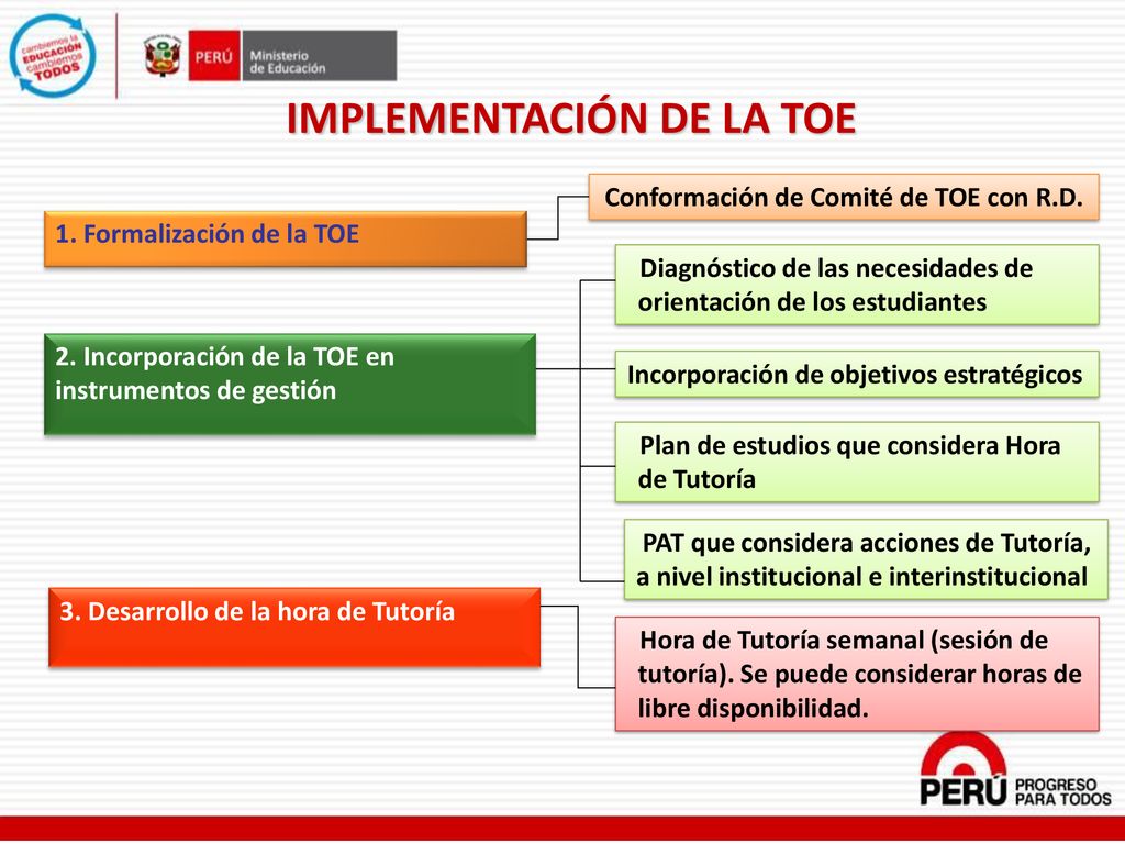 IMPLEMENTACIÓN DE LA TOE Conformación de Comité de TOE con R.D.