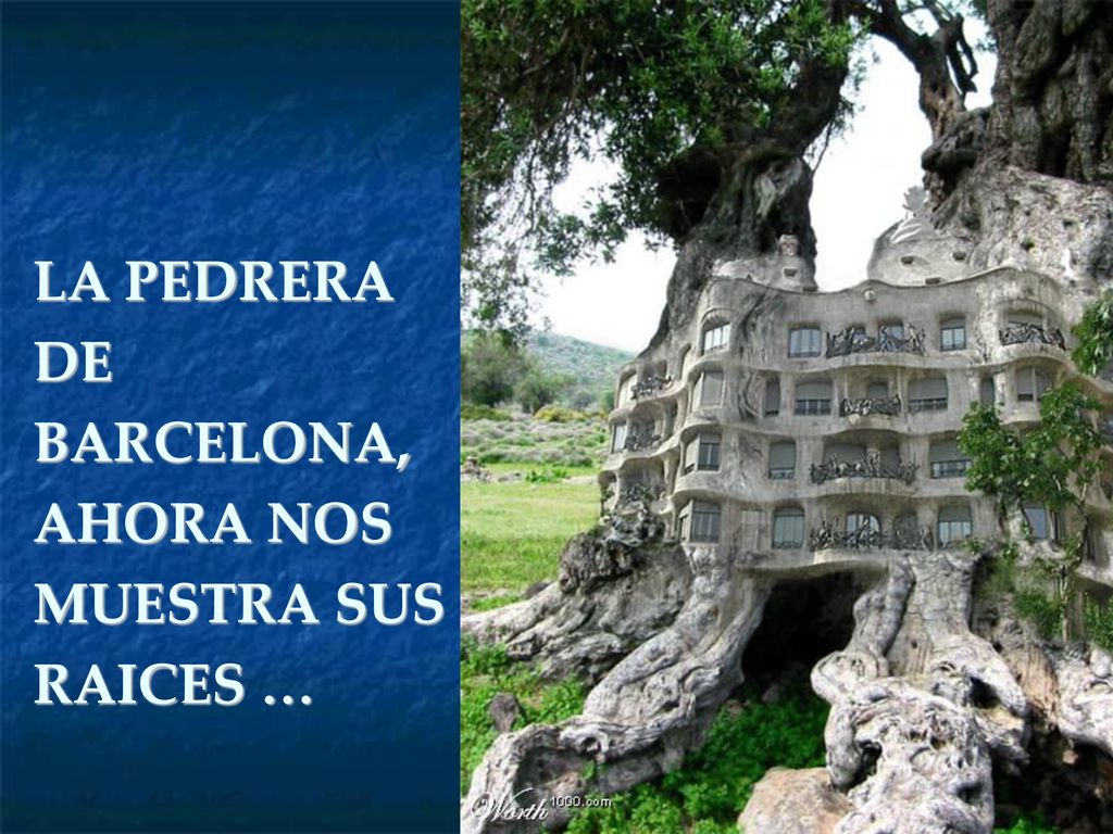 10/07/11 LA PEDRERA DE BARCELONA, AHORA NOS MUESTRA SUS RAICES …