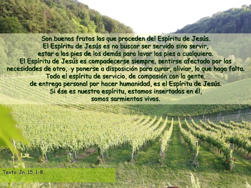 Son buenos frutos los que proceden del Espíritu de Jesús.