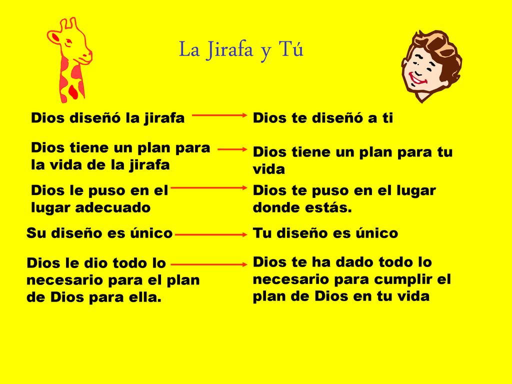La Jirafa y Tú Dios diseñó la jirafa Dios te diseñó a ti