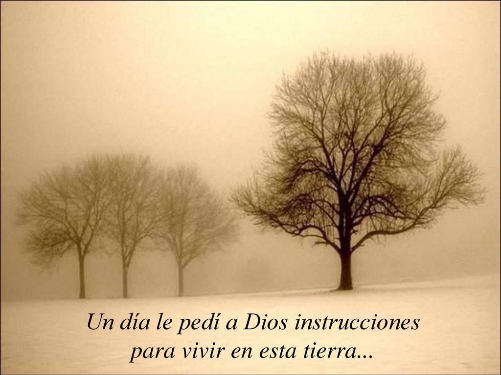 Un día le pedí a Dios instrucciones para vivir en esta tierra...