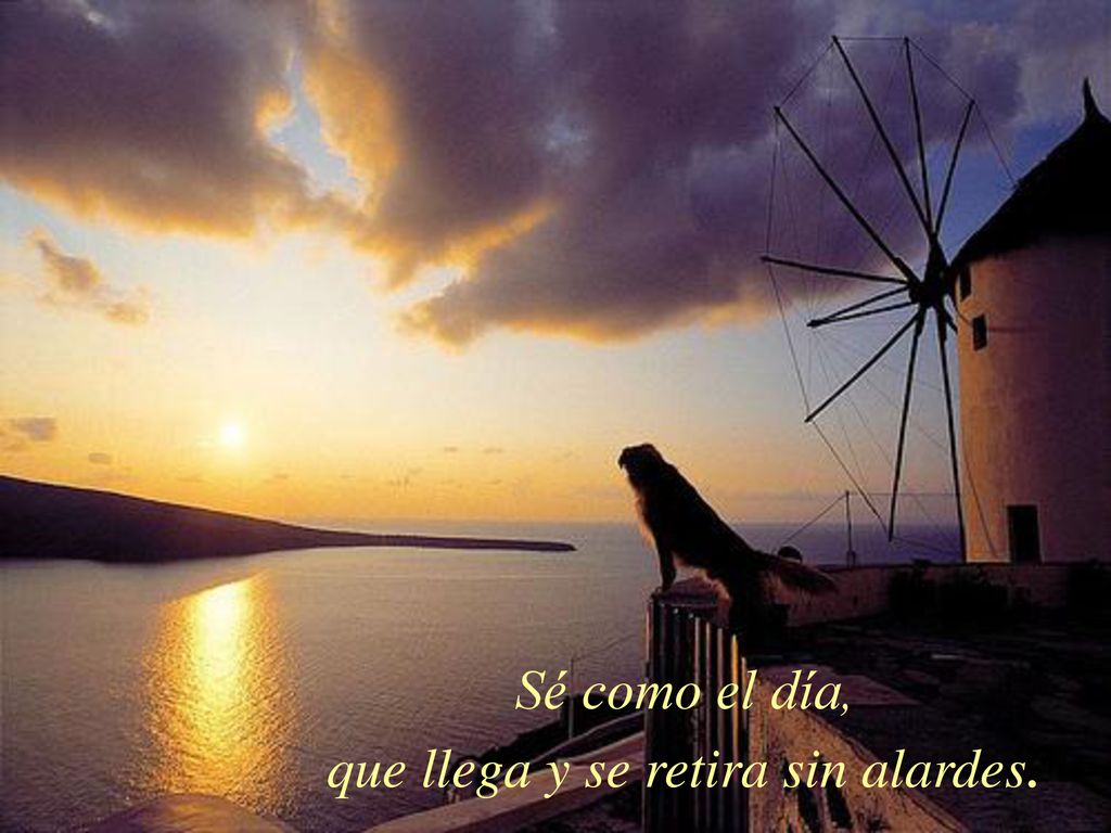 Sé como el día, que llega y se retira sin alardes.