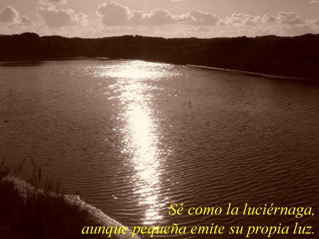 Sé como la luciérnaga, aunque pequeña emite su propia luz.