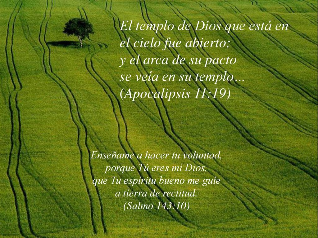el cielo fue abierto; y el arca de su pacto se veía en su templo…