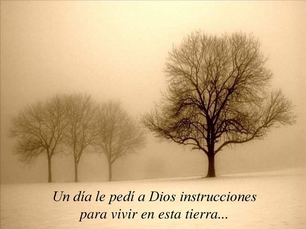 Un día le pedí a Dios instrucciones para vivir en esta tierra...