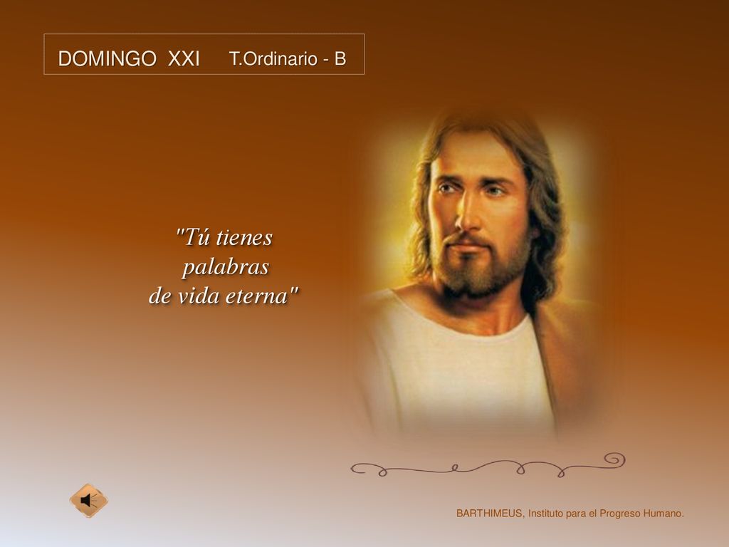 Tú tienes palabras de vida eterna DOMINGO XXI T.Ordinario - B