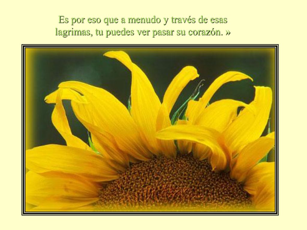 Es por eso que a menudo y través de esas lagrimas, tu puedes ver pasar su corazón. »