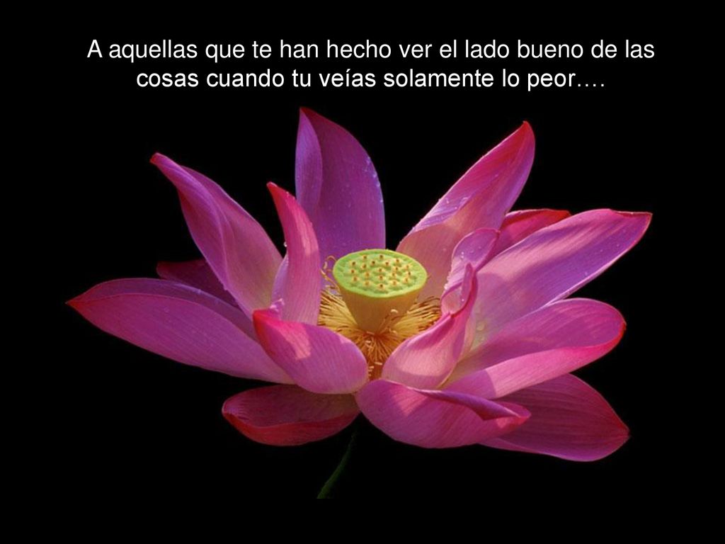 A aquellas que te han hecho ver el lado bueno de las
