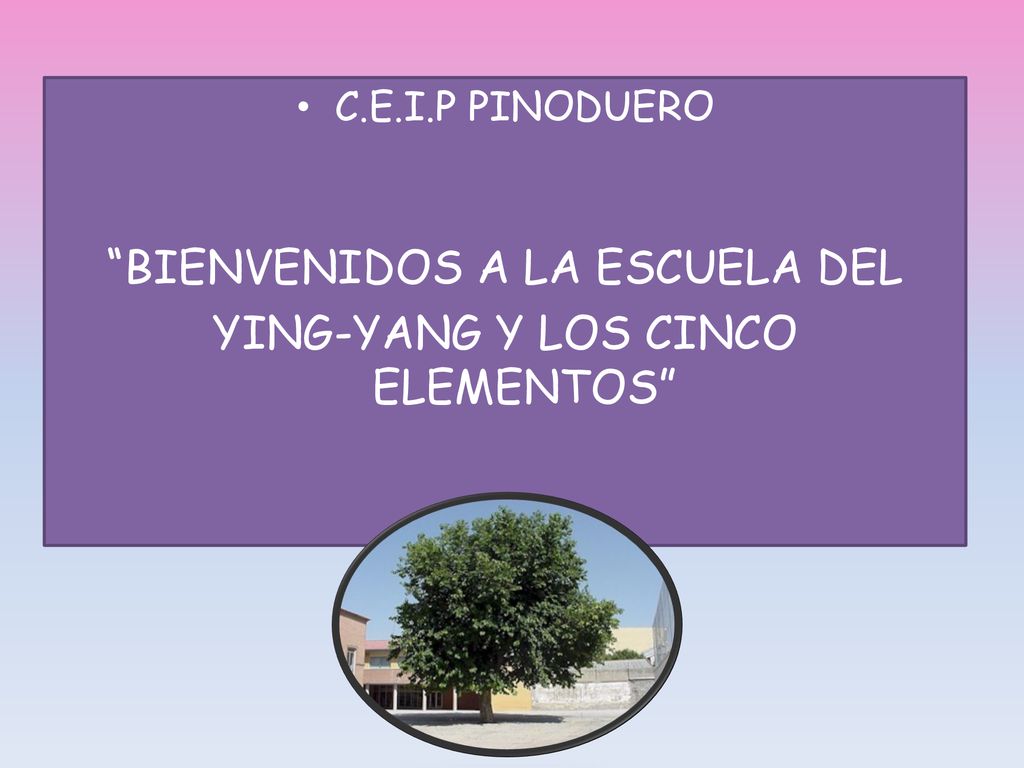 BIENVENIDOS A LA ESCUELA DEL YING-YANG Y LOS CINCO ELEMENTOS