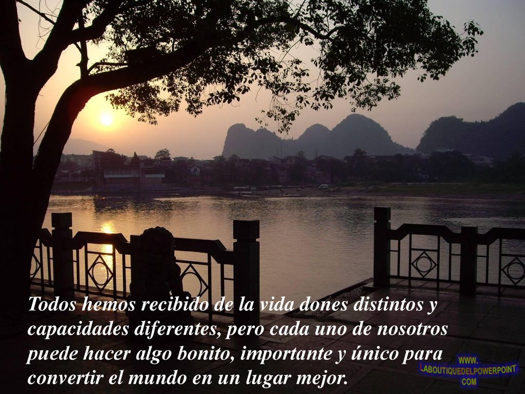 Todos hemos recibido de la vida dones distintos y capacidades diferentes, pero cada uno de nosotros puede hacer algo bonito, importante y único para convertir el mundo en un lugar mejor.