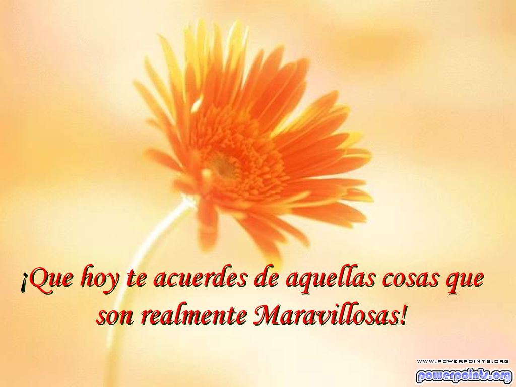 ¡Que hoy te acuerdes de aquellas cosas que son realmente Maravillosas!