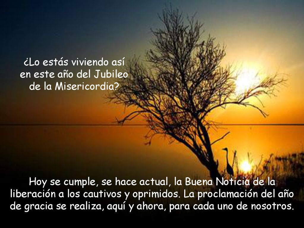 ¿Lo estás viviendo así en este año del Jubileo de la Misericordia