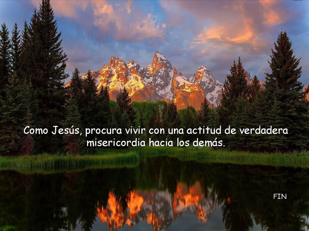 Como Jesús, procura vivir con una actitud de verdadera misericordia hacia los demás.