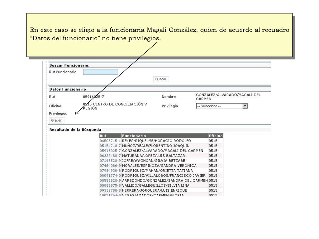 En este caso se eligió a la funcionaria Magali González, quien de acuerdo al recuadro Datos del funcionario no tiene privilegios.
