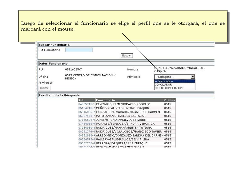 Luego de seleccionar el funcionario se elige el perfil que se le otorgará, el que se marcará con el mouse.