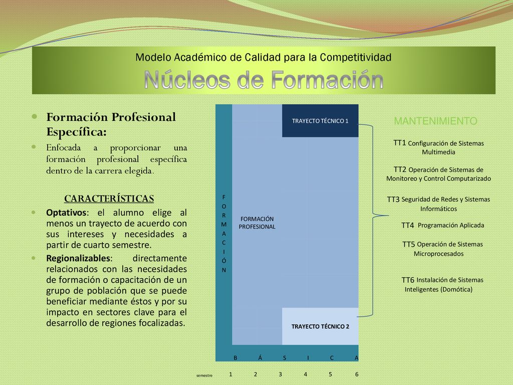 Modelo Académico de Calidad para la Competitividad Núcleos de Formación