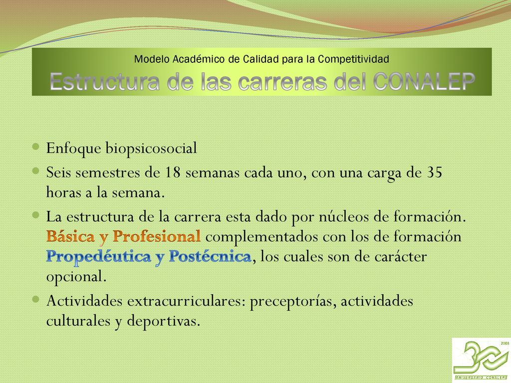 Modelo Académico de Calidad para la Competitividad Estructura de las carreras del CONALEP